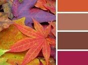 Colores Otoño🍁