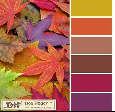 ~ 🎨 Colores de Otoño🍁