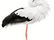 Maldito Karma Lectura Recomendada