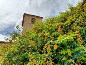 Arranca este viernes en Cuenca la Feria de la Naturaleza ‘Naturama’ con 67 expositores