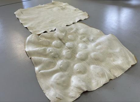 Los edificios vivos y autorreparables