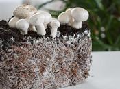 edificios vivos autorreparables