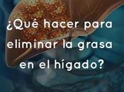 ¿Qué hacer para eliminar grasa hígado?