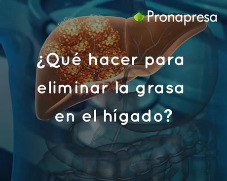 ¿Qué hacer para eliminar la grasa en el hígado?