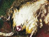 474. Advertencia sensibilidad