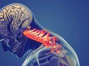 Cervicales Seguras, Innovación Viajes; CERVISAFE presenta sistema patentado protección cervical Málaga 2025