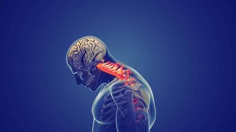 Cervicales Seguras, Innovación en Viajes; CERVISAFE presenta su sistema patentado de protección cervical en Málaga 2025