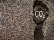 Proyecto Información Empresarial, claves para comprender alcance