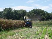 Campo soledense fortalece coordinación entre Ayuntamiento productores