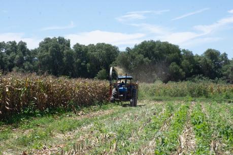 Campo soledense se fortalece con la coordinación entre Ayuntamiento y productores