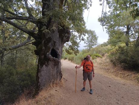 CAMINO DE SANTIAGO 11 PUENTE ALMUHEY – CISTIERNA
