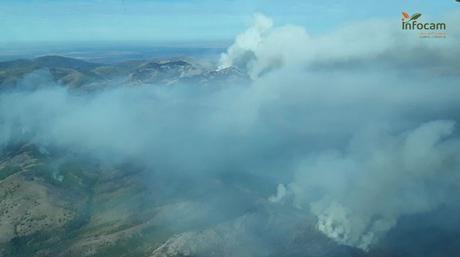 Cerrado el acceso al Hayedo de Tejera Negra por el incendio de Peñalba, que ha calcinado 2.000 hectáreas