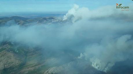 Cerrado el acceso al Hayedo de Tejera Negra por el incendio de Peñalba, que ha calcinado 2.000 hectáreas
