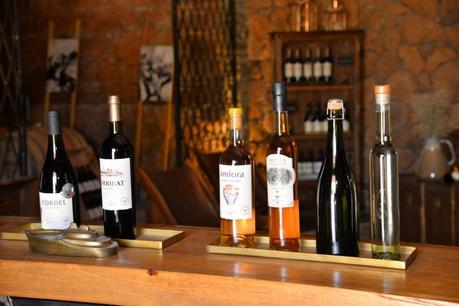 Soledad de Graciano Sánchez impulsa su proyección turística con Ruta del Vino y la Enchilada