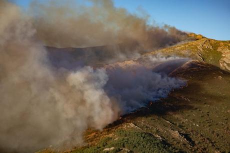 Gobierno C-LM eleva a 2.400 las hectáreas quemadas en el incendio de Peñalba de la Sierra
