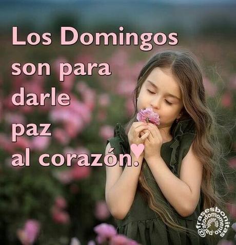 Los domingos son para darle paz al corazón💙💛☮