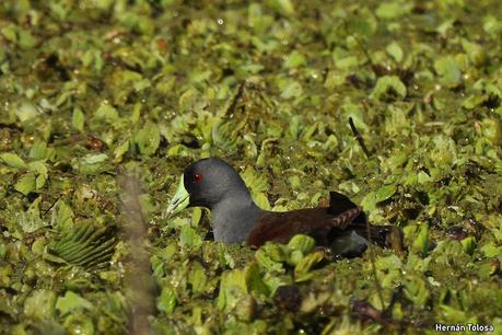 Laguna de Navarro (septiembre  2025)