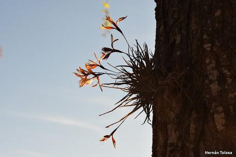 Laguna de Navarro (septiembre  2025)