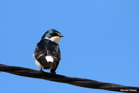 Laguna de Navarro (septiembre  2025)