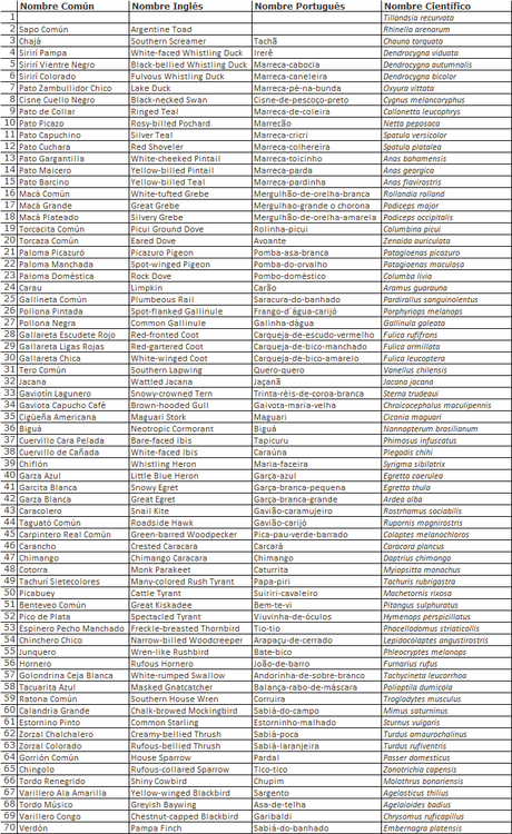 Laguna de Navarro (septiembre  2025)