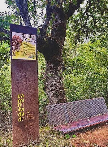 CAMINO DE SANTIAGO 12 CISTIERNA – LA DEVESA CAMINO DE SANTIAGO 12 CISTIERNA – LA DEVESA