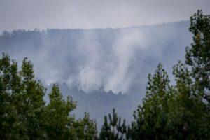 El fuego de Peñalba (Guadalajara) pasa a nivel 1 en la zona de C-LM gracias a meteorología favorable El fuego de Peñalba (Guadalajara) pasa a nivel 1 en la zona de C-LM gracias a meteorología favorable