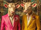 peleas como vaca estrenan Ocho canciones para mandarte mierda