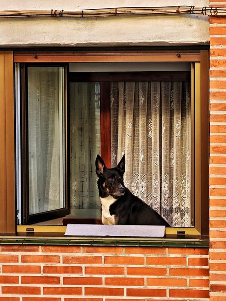 Sin novedad…. 3 – Fotografía creativa móvil en Barakaldo | Ibarakaldo