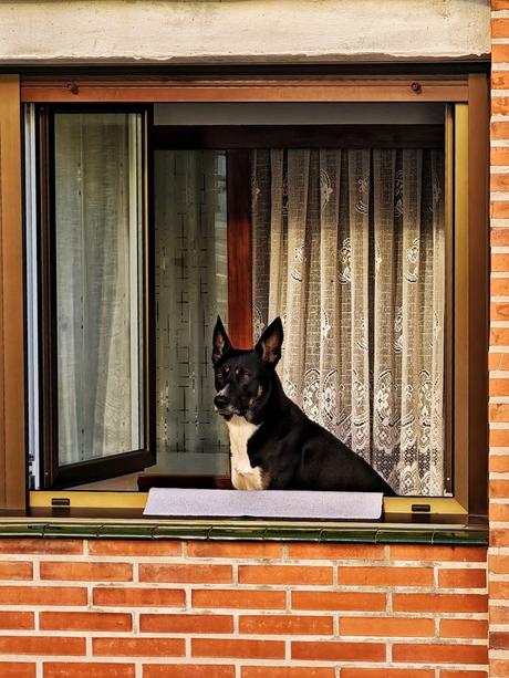 Sin novedad…. 3 – Fotografía creativa móvil en Barakaldo | Ibarakaldo