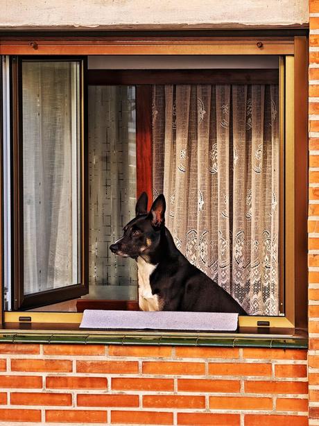 Sin novedad…. 3 – Fotografía creativa móvil en Barakaldo | Ibarakaldo