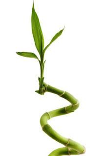 Reflexión sobre el éxito