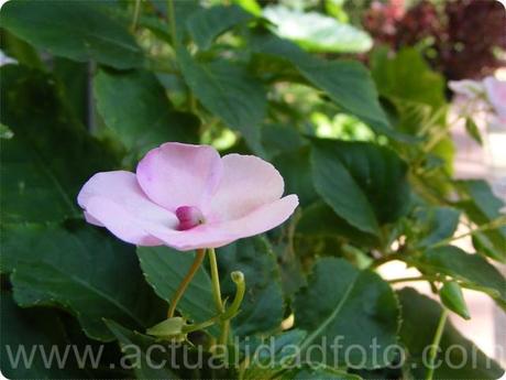 ¡Tutoriales de fotografía para todas! ¡Tutoriales de fotografía para todas!