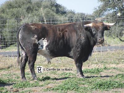 Los tíos del Conde de la Maza para este año