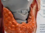 Mujeres mayores años, propensas desarrollar hipotiroidismo