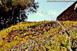 LA REALIDAD NO EXISTE!!!