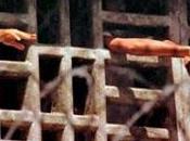 Ejecutivo mejorará sistema penitenciario