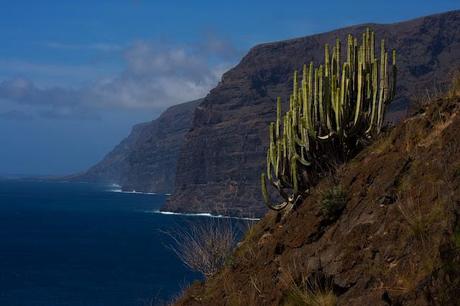 Acantilados de los Gigantes Espacio Natural Situado En Tenerife Sur