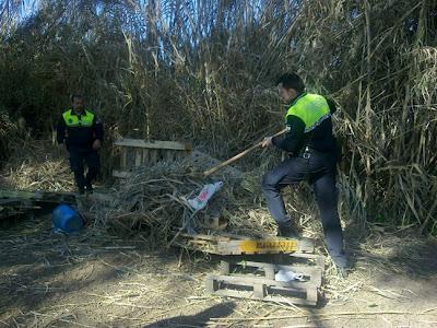 Brutal caso de maltrato animal en Sevilla.
