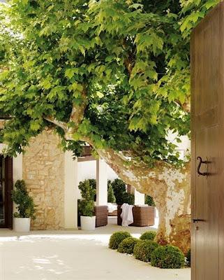 CASA RUSTICA DE CAZA