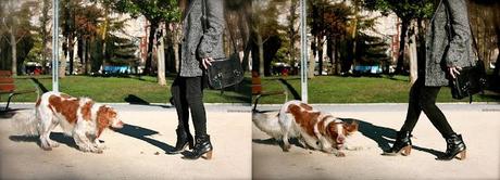 B&B;: Blazer y Blusa B&B;: Blazer y Blusa