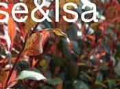 Reportaje jardín Jardín de...'