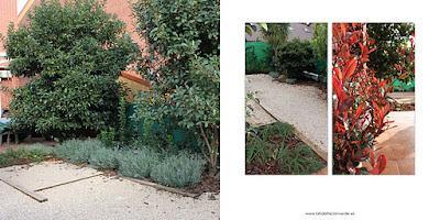 Reportaje jardín 'El Jardín de...'