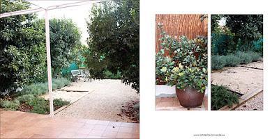 Reportaje jardín 'El Jardín de...'