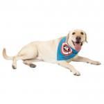 pPETS-11304323t300x300