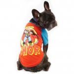 pPETS-11304343t300x300