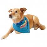 pPETS-11304288t300x300