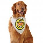 pPETS-11304327t300x300