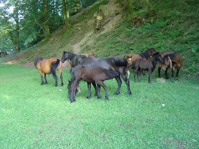 Lugares de Cantabria