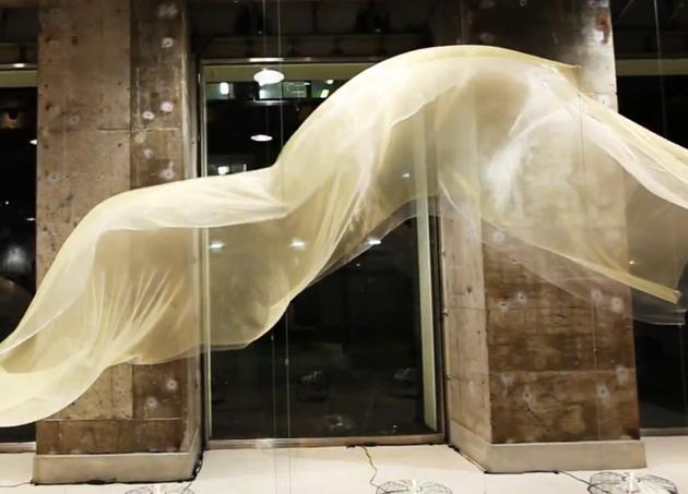 BLOOM SKIN: LA MARAVILLOSA TELA DANZANTE