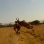 Ciclista es noqueado por antílope (Impactante VIDEO)